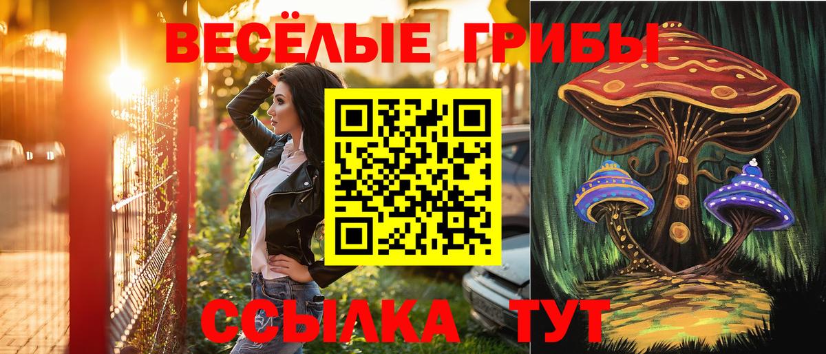 Галлюциногенные грибы GOLDEN TEACHER  Вход с VPN  Чита 